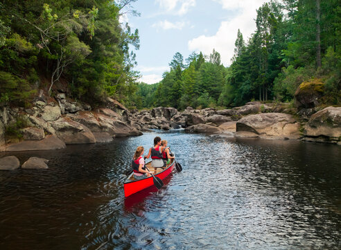 Three young adults in a canoe rowing in river in the wilderness