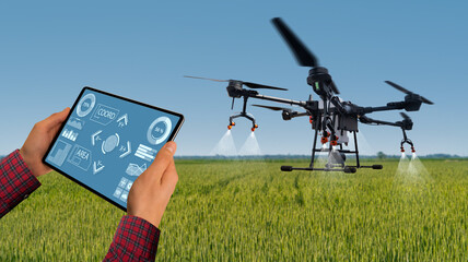 Farmer controls drone sprayer with a tablet. Smart farming and precision agriculture	