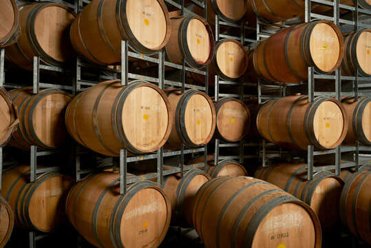 Rows of wine barrels on storage racks in cellar for aging wine