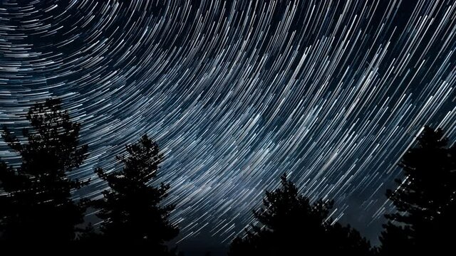 Time lapse of comet-shaped star trails in the night sky. Stars move around a polar star. Silhouettes of trees 4K