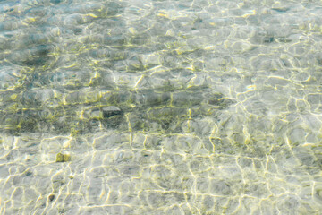 Shallow clear green and yellow water with algae and small stones on the bottom. Shiny light reflections pattern and waves