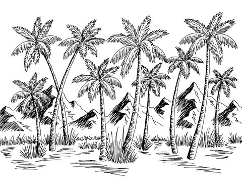 Mountain palm grove graphic black white landscape sketch illustration vector