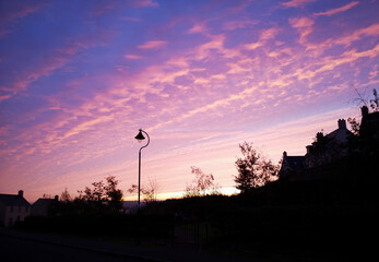 Beautiful sunrise in a residential district. Houses silhouetted against a pink and purple sky - happy home concept with copy space.