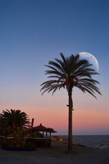 Obraz premium Ibiza beach at sunset, Ibiza, Spain, Europe