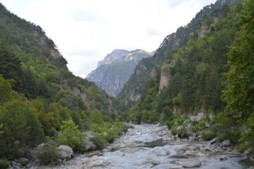 Fototapeta na wymiar river, forest, water