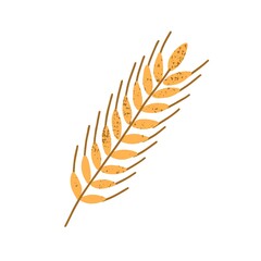 Yellow wheat spikelet with grains isolated on white background. Simple crop sign. Design element. Monochrome flat textured vector illustration