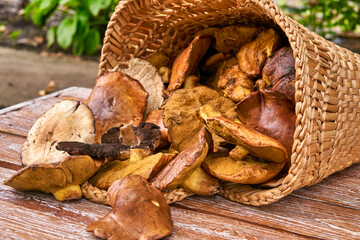 Basket full with big mushrooms on wooden table outdoor