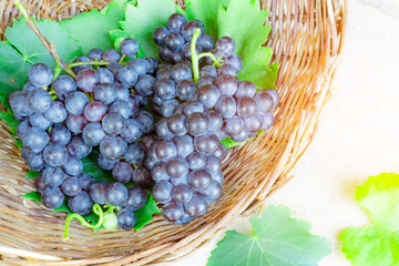 Bunches of black ripe grape fruits with green leaves in rattan basket