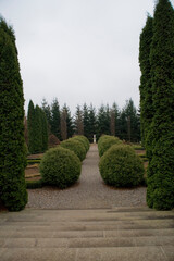 historic park with a path among ornamental evergreen shrubs on a gray autumn day