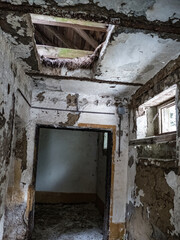 ruin of an abandoned house in the wood