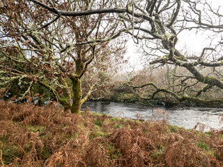 Fototapeta na wymiar The landscape next to the Owenea river by Ardara - Donegal, Ireland