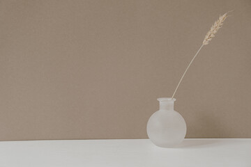 Minimalistic modern hygge style interior decoration design. Rye / wheat ear stalk in white vase on pastel beige background. Lifestyle blog, website, social media composition.