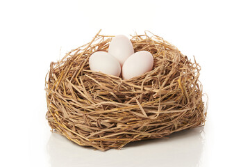 the white egg in nest on white background