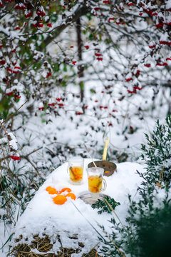 Mulled wine with sea buckthorn and mandrins in the winter garden