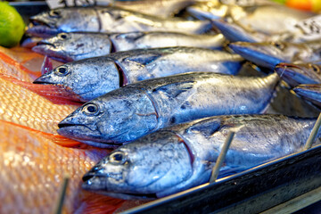 Close up of tuna on the thai street market in Thailand
