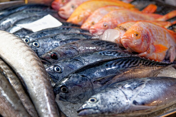 Close up of tuna on the thai street market in Thailand