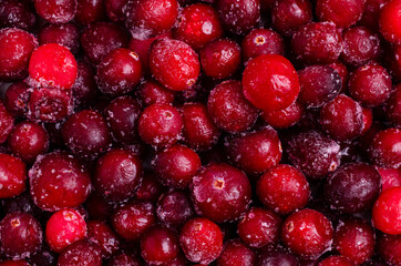 Frozen cranberry background.