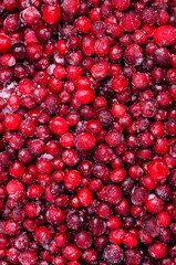 Frozen cranberry background.