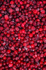Frozen cranberry background.