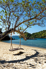 Wooden swing hang under tree at the beach