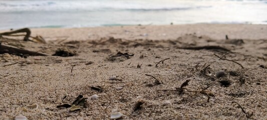 ocean, landscape, desert, sand, nature, beach
