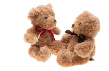 soft toy bear isolated