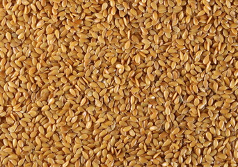 Golden linseed, linen seeds background and texture, backdrop