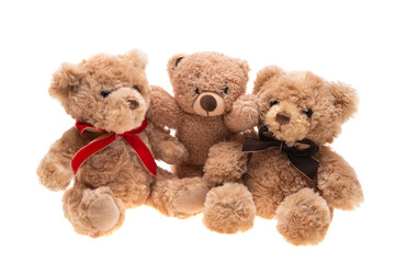 soft toy bear isolated