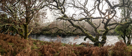 The landscape next to the Owenea river by Ardara - Donegal, Ireland