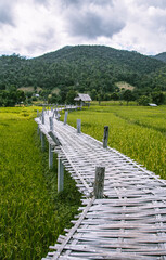 Fototapeta na wymiar Bamboo Bridge in Pai, Mae Hong Son, Chiang Mai, thailand
