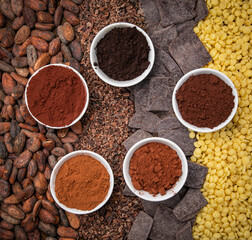All kinds of cocoa. Beans, grated, pressed and cocoa butter on a wooden table
