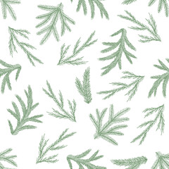 Seamless pattern with hand drawn cones,xmas tree. Christmas vector illustration.