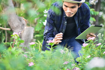 Naklejka na ściany i meble Asian man use tablet in farm are technology smart farmer