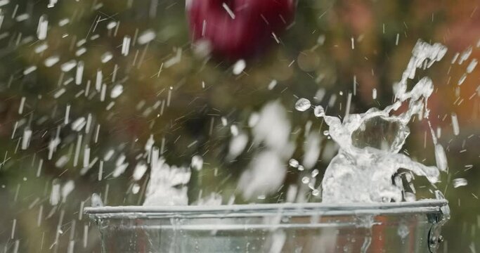 Red apples fall into a bucket of water. Slow motion video