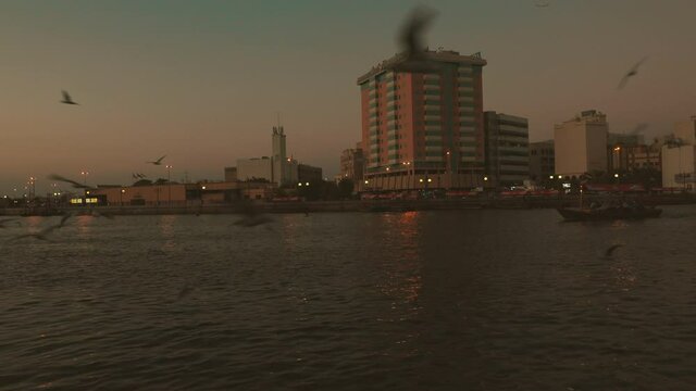 Seagull birds around the sea at sunset. Dubai creek UAE, the old and historic side of Dubai city. Water transport boat or abra or ferry passing through.