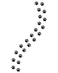 Paw prints. Footprints for pets, dog or cat. Pet print pattern. Foot puppy. Black silhouette shape paw. Footprint pet. Animal track. Trace dogs, cats. Cute background turn right. Design walks. Vector