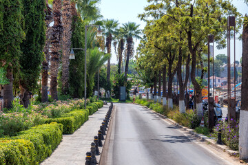 Palm trees on the street in Bodrum town in sunny day, Mediterranean coast, Bodrum, Turkey