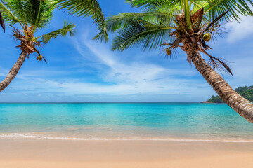 Tropical sunny white sand beach with coco palms and the turquoise sea on Caribbean island.	