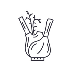 Fenhel icon, linear isolated illustration, thin line vector, web design sign, outline concept symbol with editable stroke on white background.