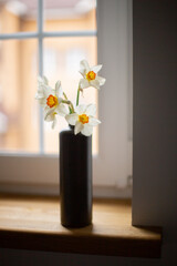 Vase with flowers Narcissus