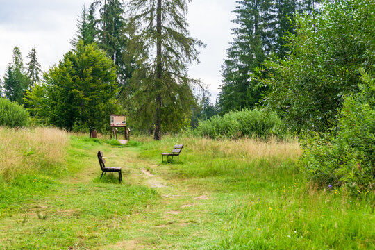The way to fairies garden bath, Borsec, Romania
