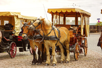 Cart drawn by two bay horses, urban tourism