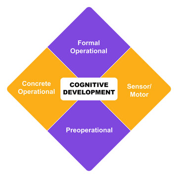 Diagram of Cognitive Development with keywords. EPS 10 - isolated on white background