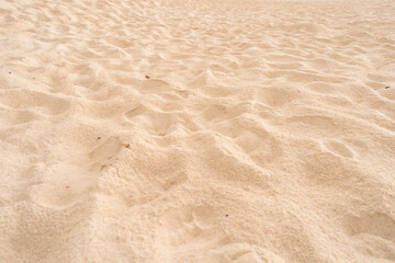 Sand background at the beach.