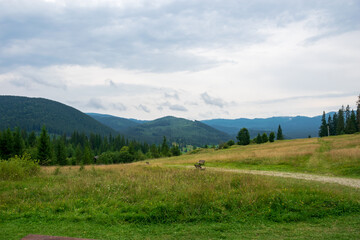 Fototapeta na wymiar Mountains view as seen from the entrance in fairy glade, Borsec, Romania
