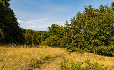 Fototapeta premium Vista dal sentiero 109AG da Poggio San Romualdo a Castelletta nelle Marche