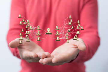 hierarchy connection team group digital