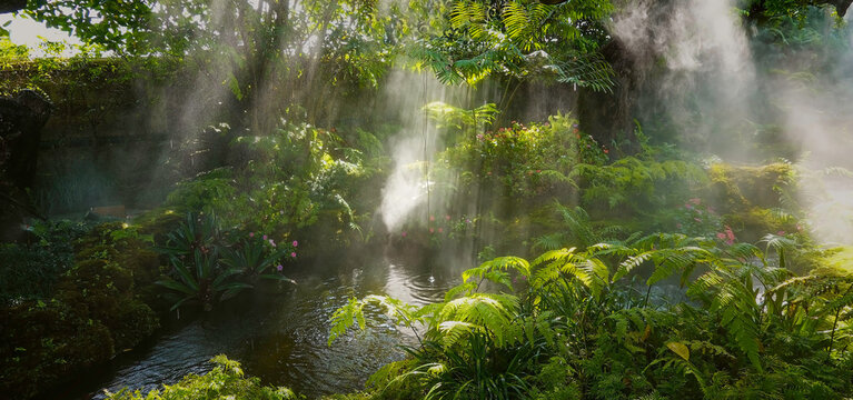 Fototapeta Panoramic view of Tropical jungle with river and sun beam and foggy in the garden
