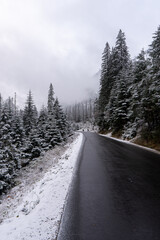 Obraz premium Winter landscape, Winter Forest, Winter road and trees covered with snow, poland