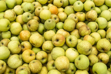 Crates with Apples Sudtirol